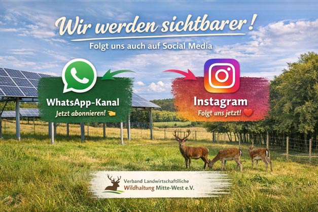 So bleibt ihr schnell, direkt und unkompliziert auf dem neuesten Stand.